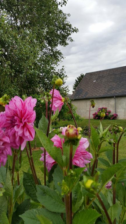 La Ferme Du Bois Paris Panzió Ermenonville-la-Petite Kültér fotó